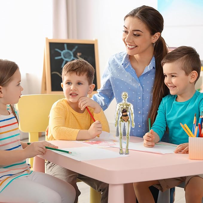 MiniMens® | Leerlijk model van het menselijk lichaam voor kinderen