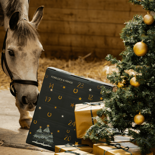 Paarden Adventskalender - 2025